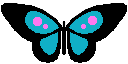 WiiButterfly.png
