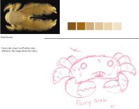 FurryCrab.jpg